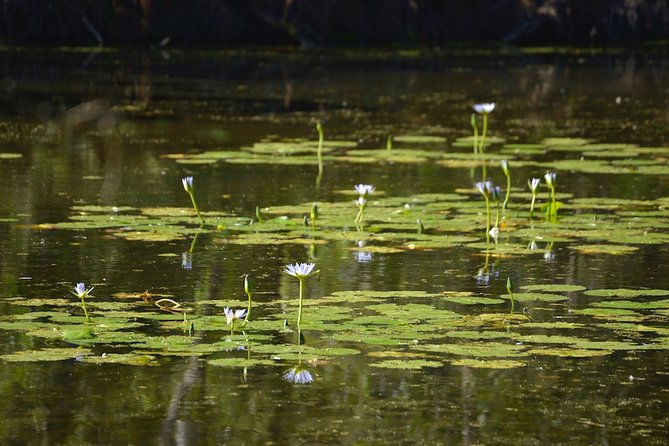 Online Photography Tuition - The Sum Up