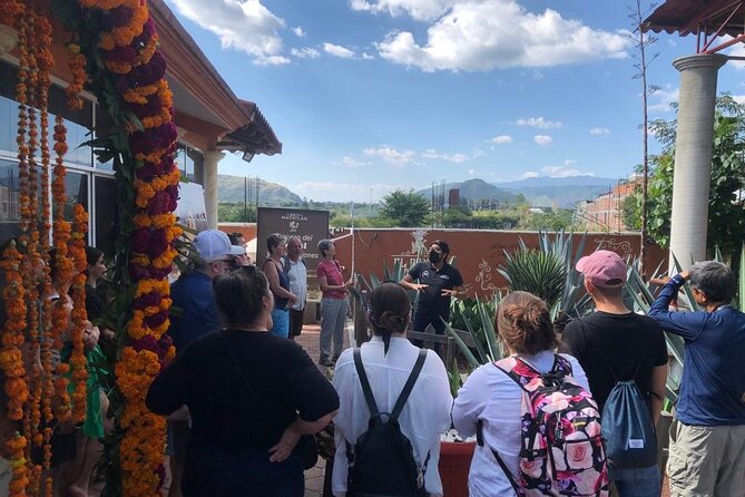 Only Hierve El Agua and Mezcal Distillery Tour - Souvenirs and Traveler Reviews