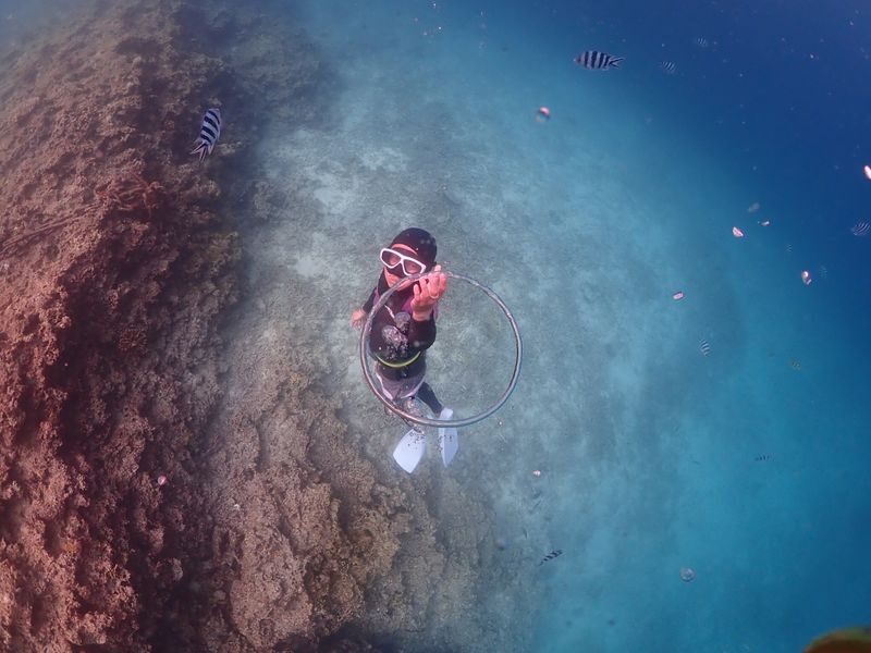 Onna Free Diving Experience in Okinawa - Why this Blue Cave outing appeals