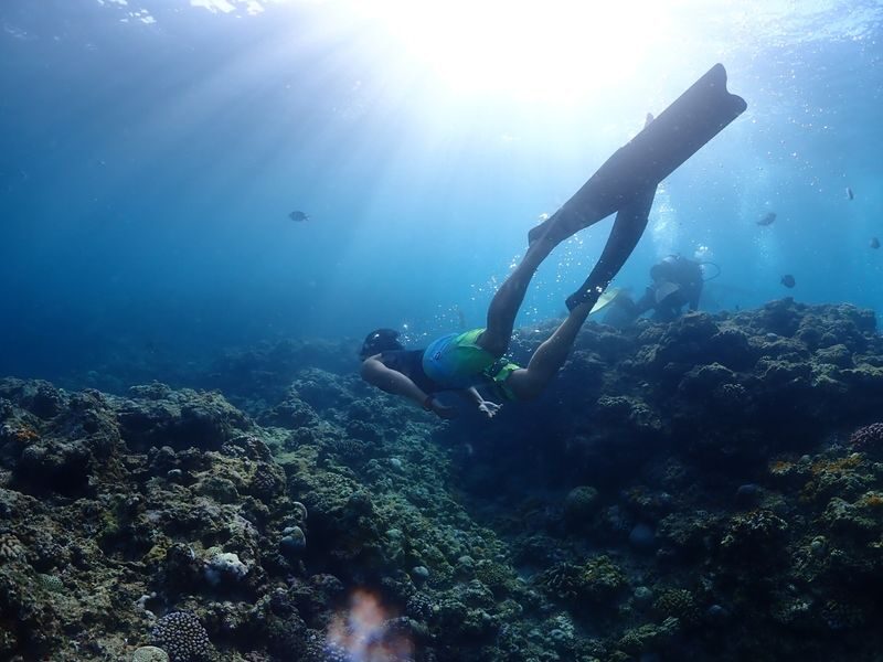 Onna Free Diving Experience in Okinawa - What the 40 to 50-minute session involves