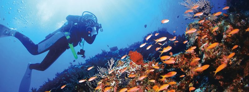 Onna Village Blue Cave Diving and Snorkeling Experience in Okinawa - What to know before you book