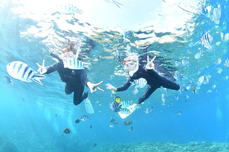 Onna Village Blue Cave Diving & Snorkeling (Boat Course) (Unlimited Photos & Videos, Free Parking & Shower) - Fish, reefs and the photo service