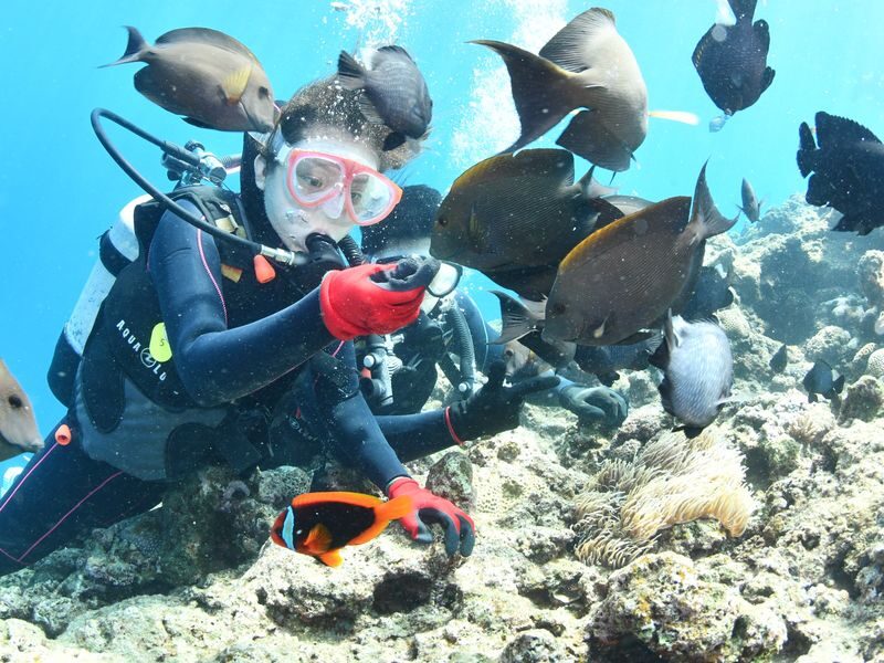 Onna Village Blue Cave Diving & Snorkeling (Boat Course) (Unlimited Photos & Videos, Free Parking & Shower) - What the price includes, and what it doesn’t