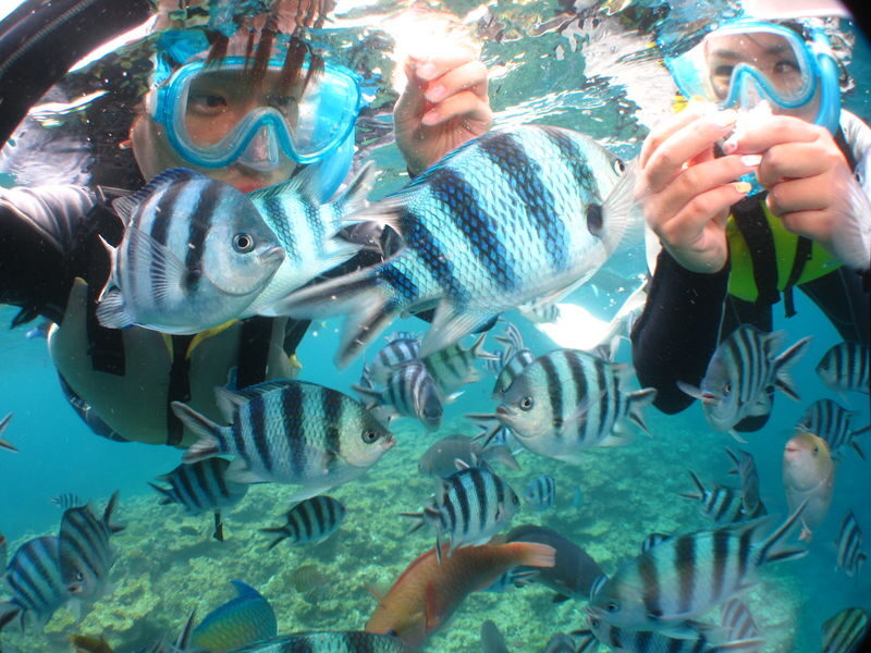 Onna Village Blue Cave Diving & Snorkeling (Boat Course) (Unlimited Photos & Videos, Free Parking & Shower) - Who should book this Onna snorkeling trip?