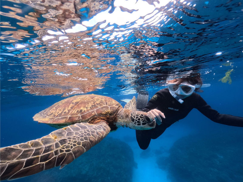 Onna Village, Nakayukui: Swim with Sea Turtles at High Probability! Beach Entry Snorkeling Experience - What the Nakayukui shoreline offers