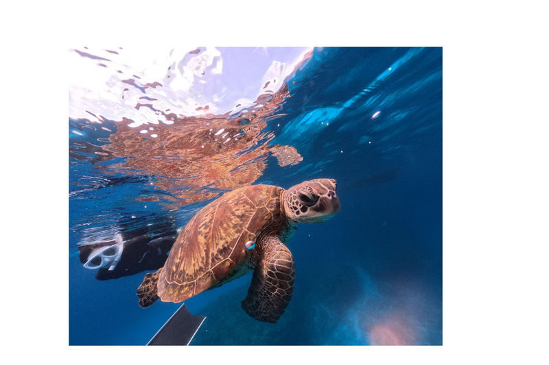 Onna Village, Nakayukui: Swim with Sea Turtles at High Probability! Beach Entry Snorkeling Experience - Getting ready at Tonton Dive