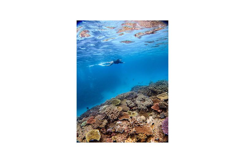 Onna Village, Nakayukui: Swim with Sea Turtles at High Probability! Beach Entry Snorkeling Experience - Watching for turtles without losing sight of the reef