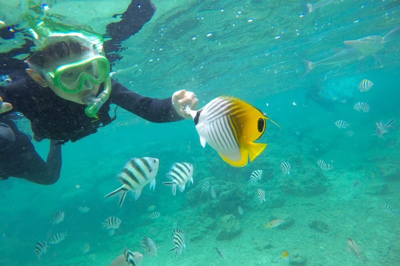 Onna Village Natural Beach and Snorkeling Experience in Okinawa - What the price includes, and where value lies