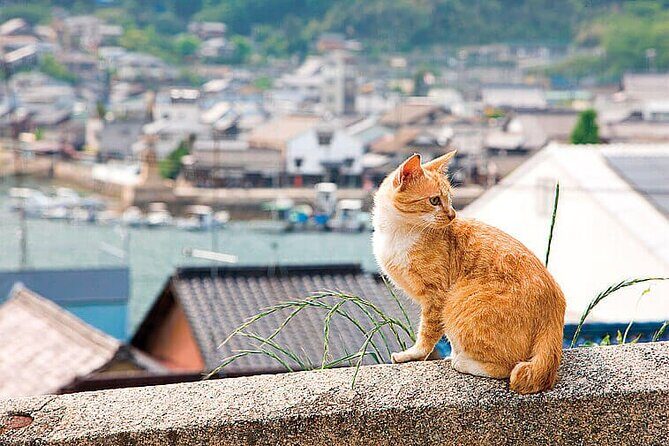 Onomichi and Fukuyama Day Tour - Good To Know