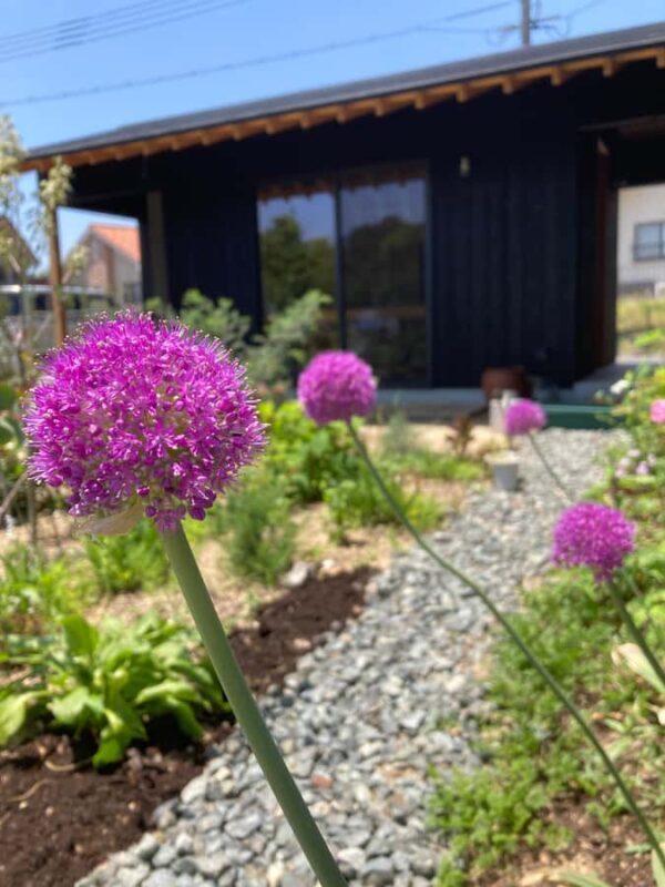 Onomichi: Private Matcha Workshop in Mukaishima Tachibana - FAQ