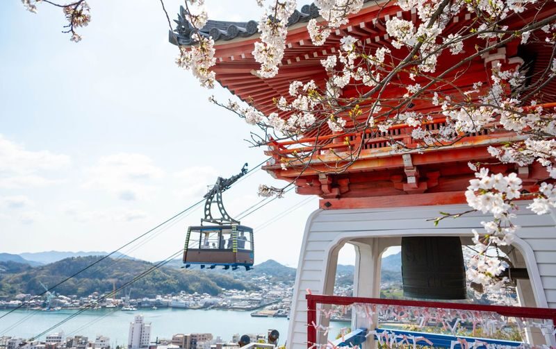 Onomichi & Shimanami Guided Day Tour from Hiroshima Station - A town stop for ramen, lemons, and small discoveries