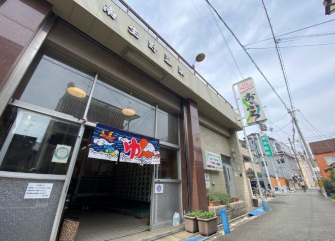 Onsen (Hot Spas) Hopping Experience in Osaka - Inclusions