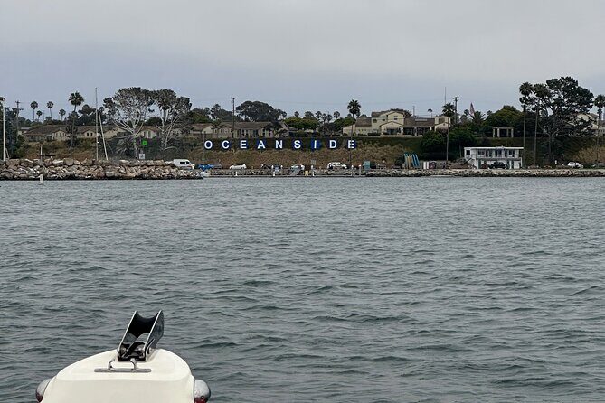 Open Boat Whale Watching - The Reviewers Perspective: Authentic Marine Encounters  