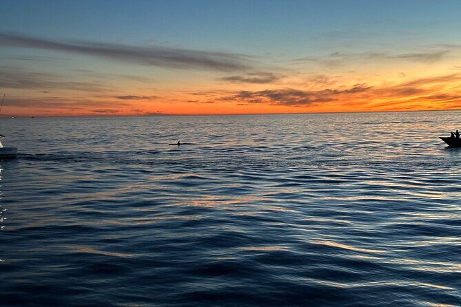 Open Boat Whale Watching - Final Thoughts: Who Will Love This Tour?  