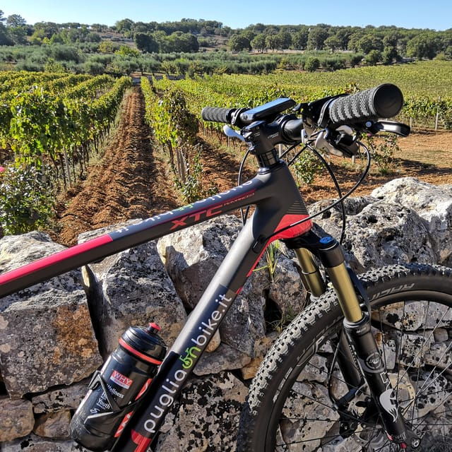 Open Guided Bike Tour in Locorotondo and Alberobello - Booking Information