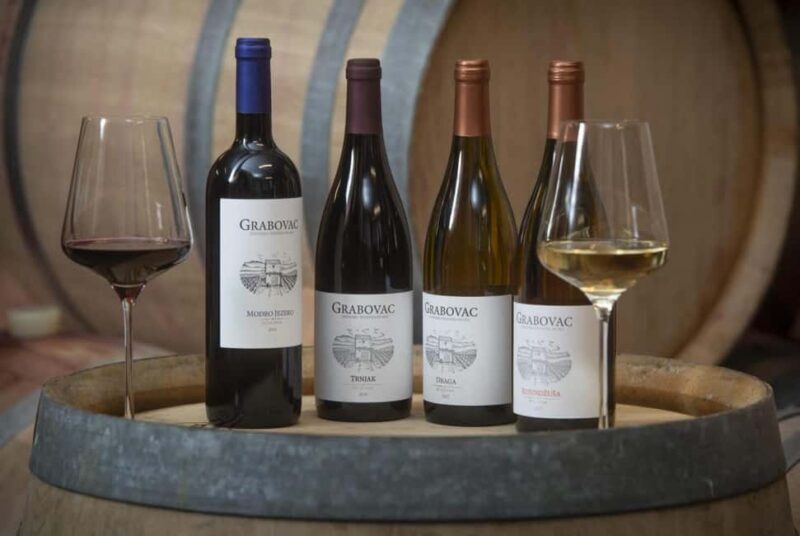 Open Panoramic Bus Tour +Guided Walking Tour in 10 languages - Who Would Love This Tour?