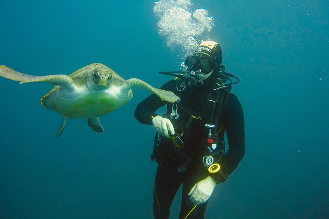 OPEN WATER CERTIFICATION - Become an Autonomous Diver up to 18m ! - Skills and Techniques Taught in Open Water Certification