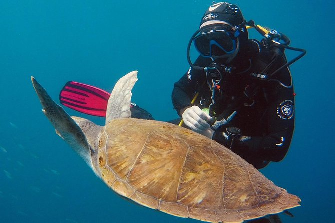 OPEN WATER CERTIFICATION - Become an Autonomous Diver up to 18m ! - Common Questions