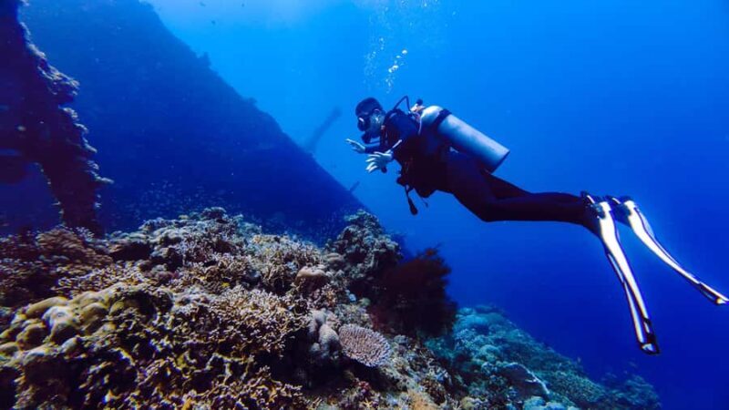 Open Water Course at Liberty Wreck & Kayak Adventure in Bali - What to Expect from the Bali Open Water Course