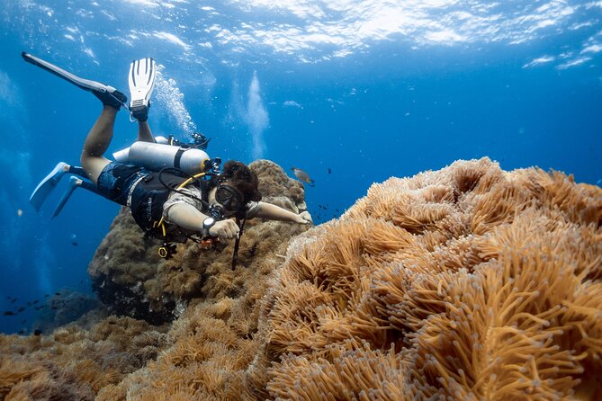 Open Water Course - Become Certified Diver in 3 Days - Course Overview and Experience