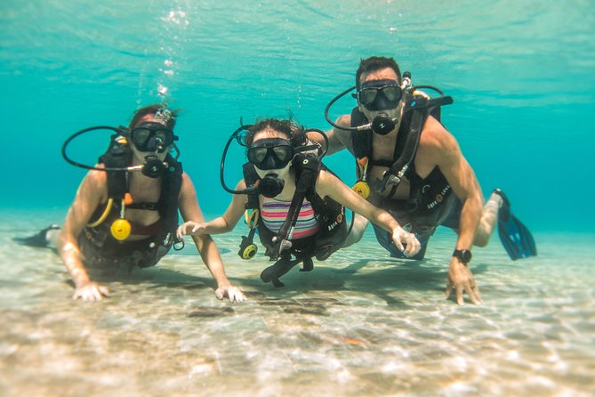 Open Water Course Cozumel - Reviews and Pricing