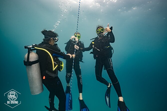 Open Water Course Cozumel - Directions