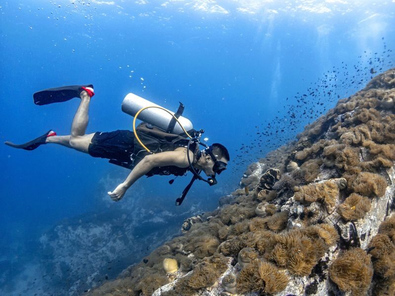 Open Water Course Experience at Koh Tao - At a glance