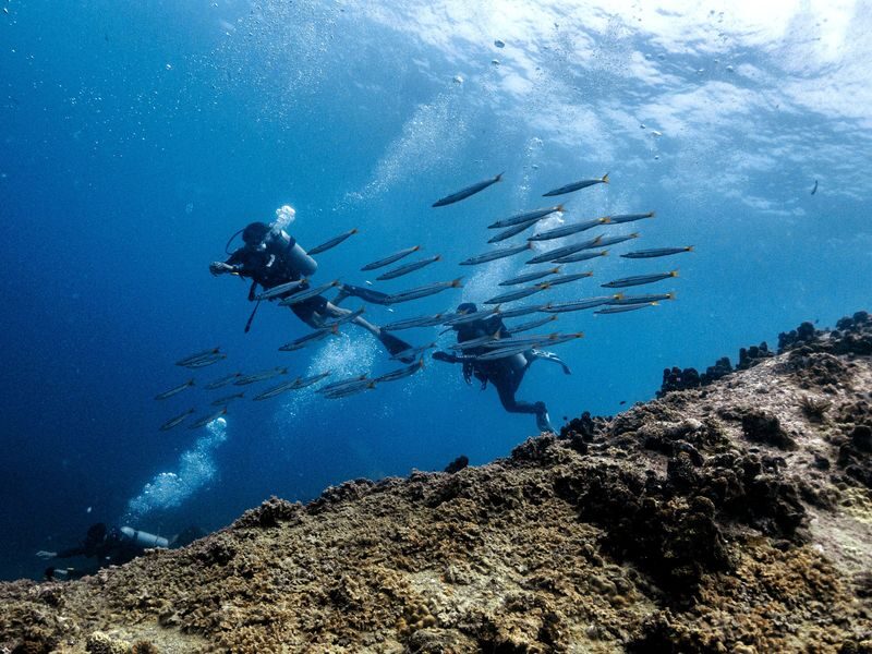 Open Water Course Experience at Koh Tao - Day two: skills practice at two Koh Tao sites