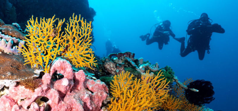Open Water Course in Tulamben (2 days) by Dive Concepts Bali - At a glance: what matters most