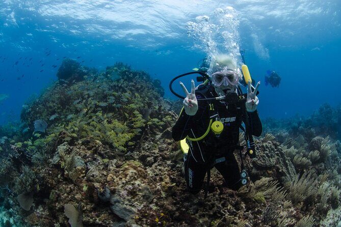 Open Water course Isla Mujeres - An Overview of the Isla Mujeres Open Water Course