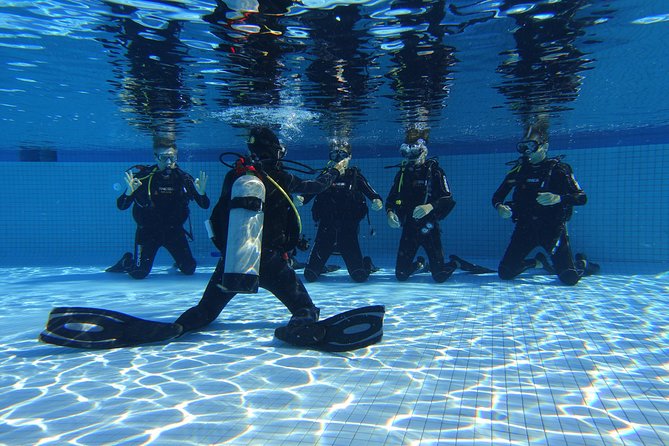 Open Water Diver 2-Day PADI Course in Playa Del Carmen - Course Location and Accessibility