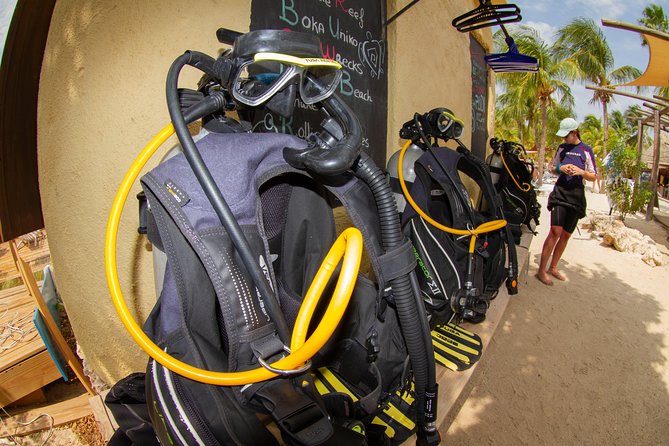 Open Water Diver Course at Blue Bay Dive in Curacao - Course Overview