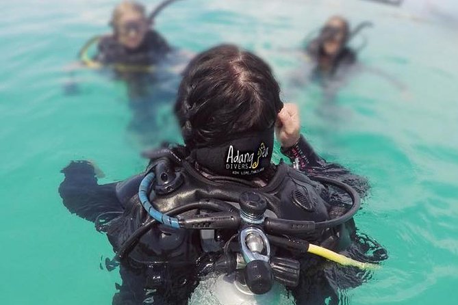 Open Water Diver Course - Course Overview