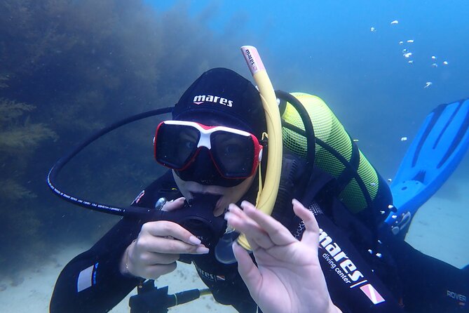 Open Water Diver Course in Arrabida Natural Park (Near Lisbon) - Price and Group Size