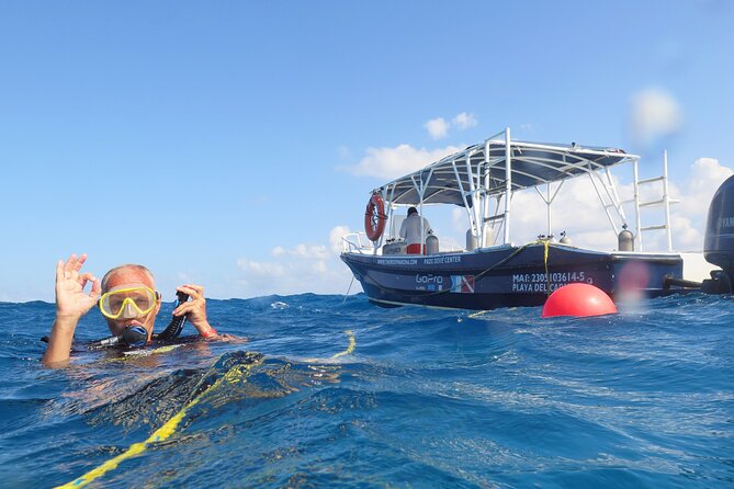 Open Water Diver Course (Padi) - Common Questions