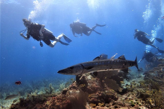 Open Water Diver Course PADI in Cancun - Additional Information