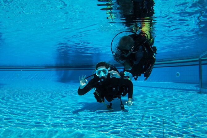 Open Water Diver Course SSI or PADI - SSI Vs PADI: Whats the Difference?