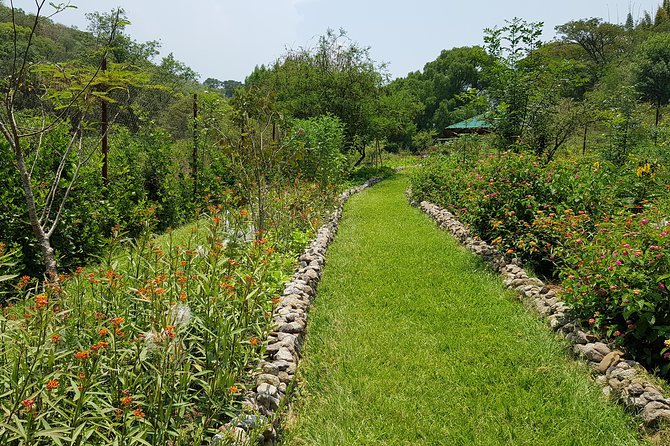 Openwork Butterfly Garden - Guided Tours and Programs