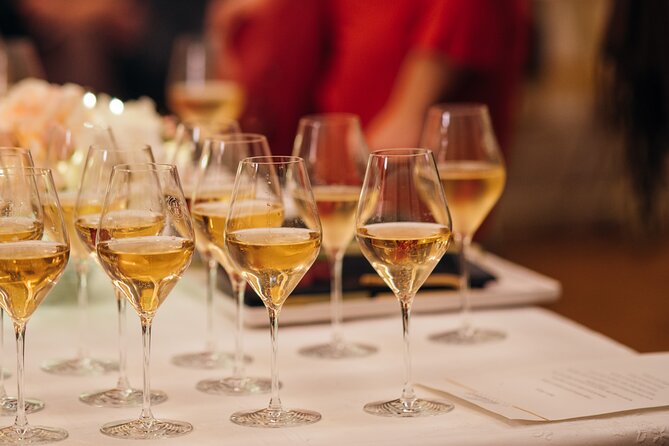 Opera a Palazzo - Mozart Gala at the Hôtel De La Monnaie in Paris - Event Overview