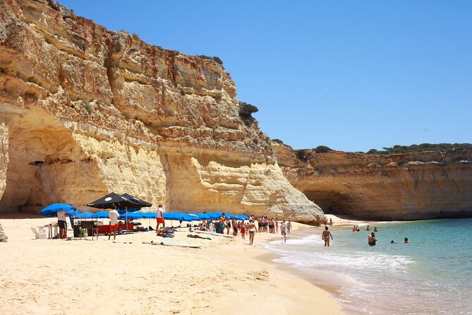 Ophelia Catamaran Cruises + Beach BBQ - Detailed Itinerary Highlights