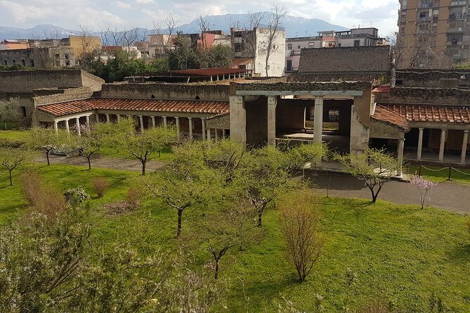 Oplontis Private Guided Tour by an Archaeologist - Pricing and Booking