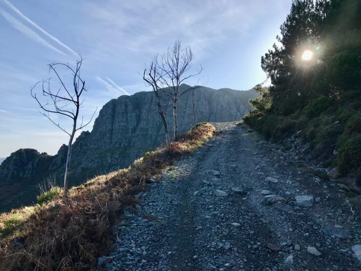 Oporto: Challenging Trail to Marão Mountain With Picnic - Good To Know