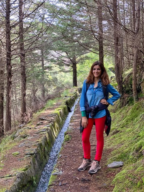 Oporto: Challenging Trail to Marão Mountain With Picnic - Picnic and Lunch