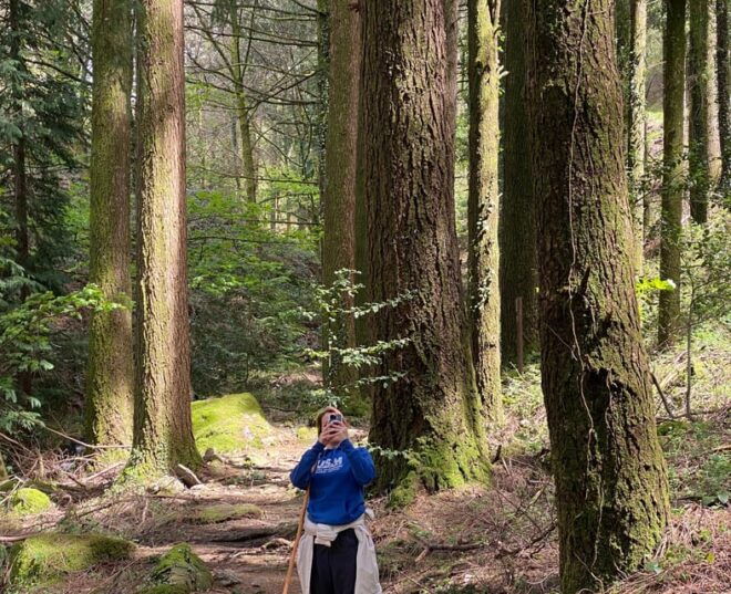 Oporto: Challenging Trail to Marão Mountain With Picnic - Safety and Preparation