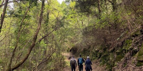Oporto: Challenging Trail to Marão Mountain With Picnic - Starting Location and Tour Guide