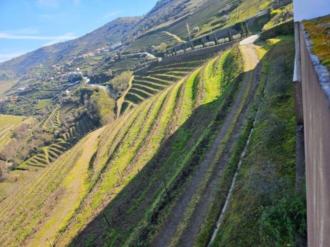 Oporto & Douro: 4x4 Amazing Tour and Wine Experiences - Optional Activities