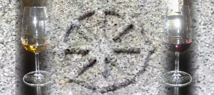 Oporto: Historical and Mythical Walking Tour - Tour Details