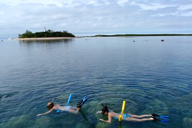 Option A: 2 1/4 Hour Low Isles Reef Sprinter Snorkelling Tour - Reviews and Pricing