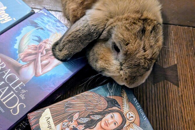 Oracle of St. Augustine, Messages from the Universe. - Who Might Not Find It Suitable?