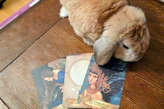 Oracle of St. Augustine, Messages from the Universe. - How the Oracle Readings Enhance the Experience